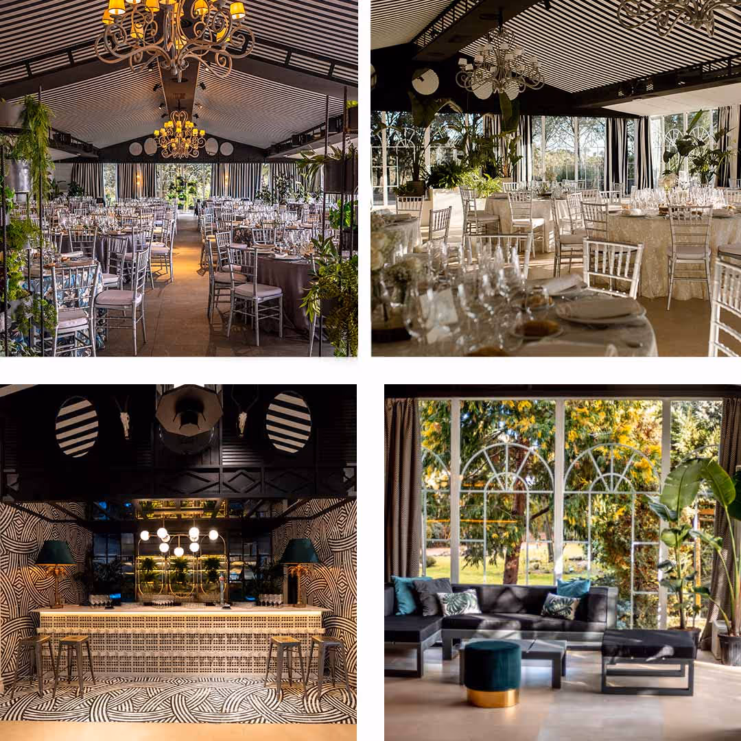 Cuatro espacios interiores elegantes con decoración de plantas y lámparas